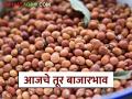 Tur bajar bhav : तूर बाजारभाव : कुठे दर वधारले, कुठे राहिले स्थिर? वाचा सविस्तर - Marathi News | Tur bajar bhav: Tur market price: Where did the price increase, where did it remain stable? Read in detail | Latest agriculture News at Lokmat.com