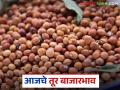 Tur bajar bhav: तूर बाजारभाव अपडेट; तुमच्या भागात तुरीला किती दर? वाचा सविस्तर - Marathi News | latest news Tur bajar bhav: Tur market price update; How much is the price of Tur in your area? Read in detail | Latest agriculture News at Lokmat.com