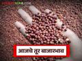 Tur bajar bhav : तुरीच्या आवकेत उसळी! राज्यभरात 'लाल' आणि 'पांढऱ्या' तुरीला चांगली मागणी वाचा सविस्तर - Marathi News | latest news Tur bajar bhav: Surge in arrival of tur! Good demand for 'red' and 'white' tur across the state Read in detail | Latest agriculture News at Lokmat.com