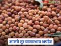 Tur bajar bhav : तुरीच्या बाजारात तेजी; लाल जातीला मिळतोय झकास दर वाचा सविस्तर - Marathi News | latest news Tur bajar bhav: Tur market booming; Red variety is getting good prices Read in detail | Latest agriculture News at Lokmat.com