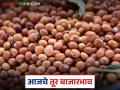 Tur bajar bhav : तूर बाजारात मोठा चढ-उतार; कुठे आवक, कुठे घसरले दर वाचा सविस्तर - Marathi News | latest news Tur bajar bhav: Big fluctuations in the tur market; where arrivals, where prices have fallen read in details | Latest agriculture News at Lokmat.com