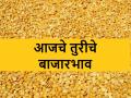 Tur Market rates: आज या बाजारसमितीत केवळ १ क्विंटल तुरीची आवक; जाणून घ्या आजचे तुरीचे बाजारभाव - Marathi News | Know today's tur maket price what are today's pigeon pea market rates | Latest agriculture News at Lokmat.com