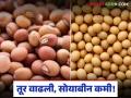Tur Soybean Market : तूर वाढली, सोयाबीन कमी; बाजारातील दरांचे नवे समीकरण वाचा सविस्तर - Marathi News | latest news Tur Soybean Market: Tur increased, soybean decreased; Read the new equation of market prices in detail | Latest agriculture News at Lokmat.com