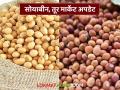 Soyabean, Tur Market Update: सोयाबीन दरात मंद चढ-उतार; तुरीने राखली स्थिरता वाचा सविस्तर - Marathi News | latest news Soyabean, Tur Market Update: Slow fluctuations in soybean prices; Tur maintained stability Read in detail | Latest agriculture News at Lokmat.com