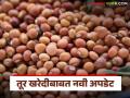 Tur Kharedi : तूर हमीभाव खरेदी उत्पादकता मर्यादा जाहीर; पहा 34 जिल्ह्यांची मर्यादा आकडेवारी - Marathi News | Latest news Tur MSP procurement productivity limit announced; See limit statistics of 34 districts | Latest agriculture News at Lokmat.com