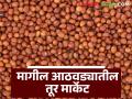 Tur Market : मागील आठवड्यात तुरीला दर कसे मिळाले? MSP पेक्षा कमी की अधिक - Marathi News | Latest News Tur Market How did price of tur last week see turiche bajarabhav | Latest agriculture News at Lokmat.com