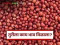 Tur Market : 'या' दोन मार्केटमध्ये तुरीला 7 हजार रुपयांचा दर, वाचा सविस्तर बाजारभाव - Marathi News | Tur Market : | Latest agriculture News at Lokmat.com