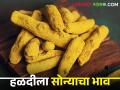 हळदीचं सोनं! मिळतोय रेकॉर्डब्रेक बाजारभाव - Marathi News | Gold of turmeric! Getting record break market price | Latest agriculture News at Lokmat.com