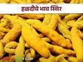 Turmeric Market हळदीची आवक कमी झाल्यामुळे हळदीला कसा मिळतोय बाजारभाव - Marathi News | How the market price of turmeric is getting due to decrease in the arrival of turmeric | Latest agriculture News at Lokmat.com