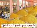 काळ्या मातीची पिवळी माया! हिंगोली बनली देशाची 'हळद राजधानी', १ हजार कोटींची उलाढाल - Marathi News | The yellow magic of black soil! Hingoli becomes the 'turmeric capital' of the country, turnover of 1 thousand crores | Latest hingoli News at Lokmat.com