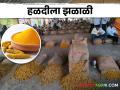 Turmeric Market हिंगोलीच्या मार्केट यार्डात हळदीला झळाळी; हरभराही वधारला - Marathi News | Increase in price of turmeric in market yard of Hingoli; Gram also grew | Latest agriculture News at Lokmat.com
