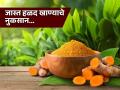 हळदीचे फायदे तर आहेतच, पण जास्त खाल तर डॅमेजही होऊ शकतं लिव्हर! - Marathi News | Nutritionist tells side effects of consuming too much turmeric | Latest sakhi News at Lokmat.com