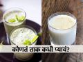 ताकाचेही असतात ६ प्रकार, प्रत्येक ताकाचे फायदे वेगळे! तुम्ही नक्की कोणतं ताक पिता? तपासा लगेच.. - Marathi News | 6 types of buttermilk with different health benefits, how to make different types of buttermilk as per ayurveda, ayurvedic method of making buttermilk | Latest sakhi News at Lokmat.com