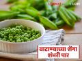 वाटाणा शेंगांच्या दरात उच्चांकी वाढ; बाजारात आवक मात्र कमीच! - Marathi News | Pea pod prices rise to record high; market arrivals are low! | Latest agriculture News at Lokmat.com