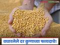 शेतकऱ्यांकडील सोयाबीन संपले अन् आता बाजारात दर वाढले; फायदा व्यापाऱ्यांचाच तर शेतकऱ्यांच्या पदरी निराशाच - Marathi News | Farmers' soybeans are gone and now the prices have increased in the market; only traders benefit, but farmers are disappointed. | Latest agriculture News at Lokmat.com