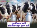 'दुग्धविकास'साठी छत्रपती संभाजीनगर जिल्ह्यातून अर्जांची आघाडी; किती शेतकऱ्यांना मिळणार दुधाळ गाई? - Marathi News | Applications from Chhatrapati Sambhajinagar district for 'Milk Development' are in high demand; How many farmers will get dairy cows? | Latest agriculture News at Lokmat.com