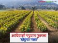 सिंचन योजनेच्या शेततळ्यांचा झाला फायदा; रब्बीच्या पिकांबरोबर भाजीपाला, फुलशेतीचे आदिवासी पट्ट्यात फुलवू लागले मळे - Marathi News | Irrigation scheme's farm ponds have benefited; Along with Rabi crops, vegetable and flower gardens have started flourishing in the tribal belt | Latest agriculture News at Lokmat.com