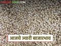 Jwari Bajar Bhav : ज्वारी बाजारात दराने घेतली का उसळी? वाचा आजचे ज्वारी बाजारभाव - Marathi News | Jwari Bazaar Bhav: Did the price of jowari increase in the market? Read today's jowari market price | Latest agriculture News at Lokmat.com