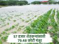 अतिवृष्टीग्रस्त शेतकऱ्यांना थेट खात्यावर मिळणार मदत; शेतकऱ्यांच्या याद्या 'ई-पंचनामा पोर्टल'वर 'अपलोड'चे काम सुरू - Marathi News | Farmers affected by heavy rains will get assistance directly to their accounts; Work on uploading farmers' lists on 'e-Panchnama portal' underway | Latest agriculture News at Lokmat.com