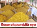 तेलंगणा, आंध्र प्रदेशातील हळद विक्रीसाठी दाखल झाल्याने बाजारात मंदीचे सावट - Marathi News | Turmeric from Telangana, Andhra Pradesh enters the market for sale, creating a slowdown in the market | Latest agriculture News at Lokmat.com