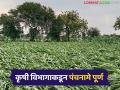 मार्च मध्ये झालेल्या नुकसानीचा 'या' जिल्ह्यातील अहवाल आला; ४१ हजार हेक्टरवरील शेतपिकांची नासाडी - Marathi News | Report of damage in 'Ya' district in March; Crops destroyed on 41 thousand hectares | Latest agriculture News at Lokmat.com