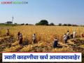 यंदा ज्वारी काढणीचा खर्च जातोय आवाक्याबाहेर; वालवड परिसरातील शेतकरी हवालदिल - Marathi News | This year, the cost of harvesting jowar is going beyond our reach; Farmers in the Walwad area are worried | Latest agriculture News at Lokmat.com