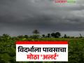 उपराजधानीत मुसळधार पावसाचा 'अलर्ट'; वाचा विदर्भातील कोणत्या भागात कोसळणार सर्वाधिक पाऊस - Marathi News | Heavy rain 'alert' in the sub-capital; Read which parts of Vidarbha will receive the most rain | Latest agriculture News at Lokmat.com