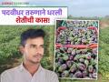 ताडकळस येथील २२ वर्षीय पदवीधर तरुणाने भाजीपाला उत्पादनातून मिळविले नोकरीपेक्षा जास्त उत्पन्न - Marathi News | A 22-year-old graduate from Tadkalas earned more income from vegetable production than from a job. | Latest agriculture News at Lokmat.com