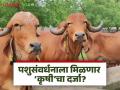दूध भेसळ रोखण्यासाठी कडक कायदा; पशुसंवर्धन व्यवसायाला देणार ‘कृषी’चा दर्जा पशुसंवर्धन मंत्री पंकजा मुंडे - Marathi News | Strict law to prevent milk adulteration; Animal Husbandry Minister Pankaja Munde will give 'agriculture' status to animal husbandry business | Latest agriculture News at Lokmat.com