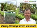 Farmer Success Story : मराठवाड्याच्या कोरडवाहू शेतीला सेंद्रिय जोड देत आधुनिक तंत्रज्ञानाने समृद्ध करणाऱ्या शेतकऱ्याची वाचा यशकथा - Marathi News | | Latest agriculture News at Lokmat.com