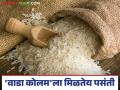 Rice Market Rate : बाजारात नवीन तांदूळ दाखल; गतवर्षीच्या तुलनेत यावर्षी दरात वाढ - Marathi News | Rice Market Rate: New rice entered the market; Price increased this year compared to last year | Latest agriculture News at Lokmat.com
