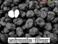 रोगप्रतिकारक शक्ती वाढवणारा नैसर्गिक खजिना; जाणून घ्या आरोग्यदायी 'शिंगाडा'चे लाभदायक फायदे - Marathi News | A natural treasure that boosts immunity; Know the beneficial benefits of healthy 'Singada' | Latest agriculture News at Lokmat.com