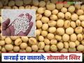 शेतमाल बाजारात करडईला मिळतोय उच्चांकी दर; सोयाबीन बाजार मात्र स्थिर - Marathi News | Sorghum is getting the highest price in the agricultural market; soybean market is stable | Latest agriculture News at Lokmat.com