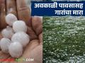 जळगाव जिल्ह्यात अवकाळी पावसासह गारांचा मारा; गहू, हरभरा आणि मका पिकाला बसला फटका - Marathi News | Unseasonal rains and hailstorm hit Jalgaon district; Wheat, gram and maize crops affected | Latest agriculture News at Lokmat.com