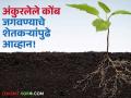 मृगाचा 'कोल्हा' ठरला लबाड; आता आर्द्राचा 'उंदीर' पाऊस घेऊन येणार का? शेतकरी प्रतीक्षेत - Marathi News | The deer's 'fox' turned out to be a liar; will the 'rat' of moisture now bring rain? Farmers are waiting | Latest agriculture News at Lokmat.com