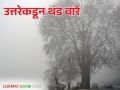 Weather Update : उत्तरेकडून थंड वारे; गारठा वाढला ग्रामीण भागात कडाका - Marathi News | Weather Update: Cold winds from the north; Cold weather has increased in rural areas | Latest agriculture News at Lokmat.com