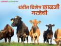 Animal Care : थंडी वाढल्याने पशुधनाचेही आरोग्य येऊ शकते धोक्यात; पशुवैद्यकीय अधिकाऱ्यांनी सूचविल्या उपाययोजना - Marathi News | Animal Care: Increasing cold weather may endanger the health of livestock; Veterinary officials suggest measures | Latest agriculture News at Lokmat.com