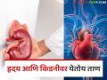 उन्हात काम करत असाल तर काळजी घ्या; हृदय अन् किडनीवर येतोय ताण - Marathi News | Be careful if you are working in the sun; it puts stress on the heart and kidneys | Latest agriculture News at Lokmat.com