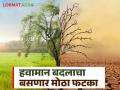 Climate Change : हवामान बदलाचा परिणाम; गहू, तांदूळ महाग होईल सोबत पाण्याची टंचाईही येणार - Marathi News | Climate Change: Impact of climate change; Wheat, rice will become expensive and there will also be water shortage | Latest agriculture News at Lokmat.com