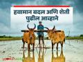 हवामान बदल आणि शेती पुढील आव्हाने; जाणून घ्या यावरील शाश्वत उपाय - Marathi News | Climate change and agriculture: Next challenges; learn about sustainable solutions | Latest agriculture News at Lokmat.com