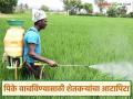 पिके वाचविण्यासाठी महागडी औषधे फवारण्याचा आटापिटा; ढगाळ हवामानामुळे रोगांचा प्रादुर्भाव - Marathi News | Rush to spray expensive chemicals to save crops; Cloudy weather leads to outbreak of diseases | Latest agriculture News at Lokmat.com
