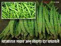 Vegetable Market Price : वाढलेली मागणी अन् पावसाचा मारा; भाजीपाल्याचे दर कडाडले - Marathi News | Vegetable Market Price: Increased demand and hit by rain; The prices of vegetables have gone up | Latest agriculture News at Lokmat.com