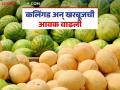 बाजारात कलिंगड अन् खरबूजची आवक वाढली; वाचा काय मिळतोय दर - Marathi News | Watermelon and melon arrivals in the market have increased; Read what the prices are being offered | Latest agriculture News at Lokmat.com