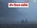 पुढील तीन दिवस थंडीचा कडाका कायम; नागरिकांनी आरोग्याची काळजी घेण्याचे प्रशासनाचे आवाहन - Marathi News | Cold wave to continue for next three days; Administration appeals to citizens to take care of health | Latest agriculture News at Lokmat.com