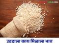 Udid Bajar Bhav : बाजारात उडदाची सर्वाधिक आवक दुधणी बाजारात; काय मिळाला भाव ते वाचा सविस्तर - Marathi News | Udid Bajar Bhav: Udid has the highest inflow of dudhani market | Latest agriculture News at Lokmat.com