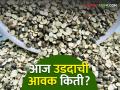 Udid Bajar Bhav : शेवगाव बाजारात उडदाची सर्वाधिक आवक; काय दर मिळाला ते वाचा सविस्तर - Marathi News | Udid Bajar Bhav : Highest arrival of black gram in Shevgaon market; Read in detail what the rate was | Latest agriculture News at Lokmat.com