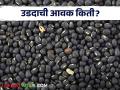 Udid Bajar Bhav : उडदाला सर्वाधिक मागणी लातुरच्या बाजारात; काय मिळाला भाव ते वाचा सविस्तर - Marathi News | Udid Bajar Bhav : Udid has the highest demand in Latur market | Latest agriculture News at Lokmat.com