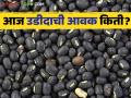 Udid Bajar Bhav : आज उडीदाची सर्वाधिक आवक कुठे झाली आणि त्याला काय भाव मिळाला ते वाचा सविस्तर - Marathi News | Udid Bajar Bhav : Read in detail where did Udid hit the highest number of arrivals today and what price did it get | Latest agriculture News at Lokmat.com