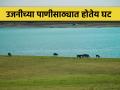 उजनी धरण यंदा लवकरच अटण्याची शक्यता - Marathi News | Ujani Dam water storage is decrease soon this year | Latest agriculture News at Lokmat.com