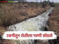 एकरूख योजनेतून उजनीचे पाणी कुरनूर धरणात सोडले; अजून किती दिवस सुरु राहणार कॅनाॅल? - Marathi News | Ujni water released into Kurnur dam through Ekrukh scheme; How long will the canal continue to operate? | Latest agriculture News at Lokmat.com